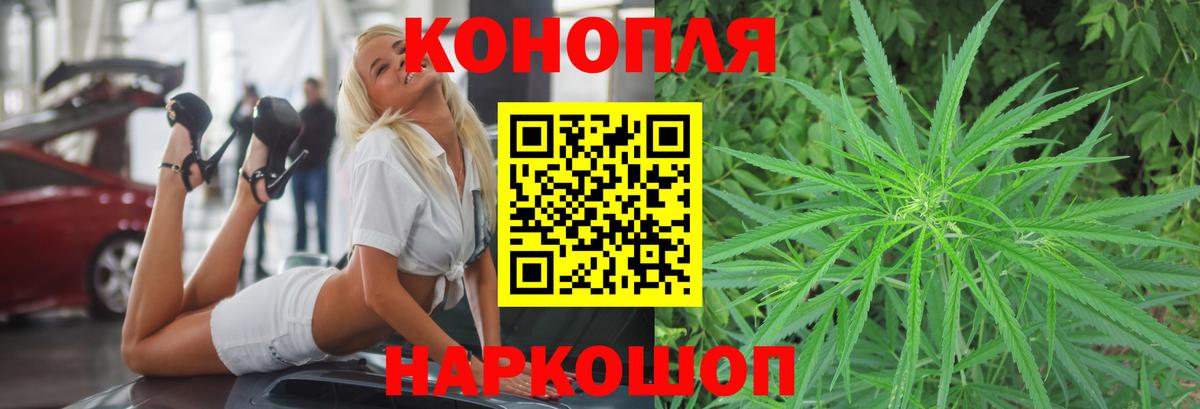 Шишки марихуана сатива  Бошки марихуана сатива  Вход с VPN  Гурьевск  Конопля тримм 